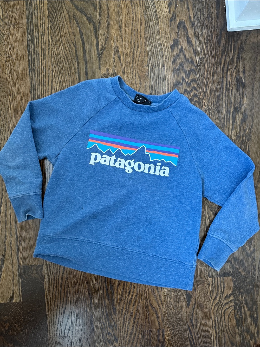 Patagonia Kids' Lightweight Crew featuring classic P-6 Fitz Roy mountain logo